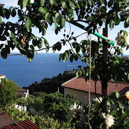 Le Mimose Villa Vietri Bagian luar foto