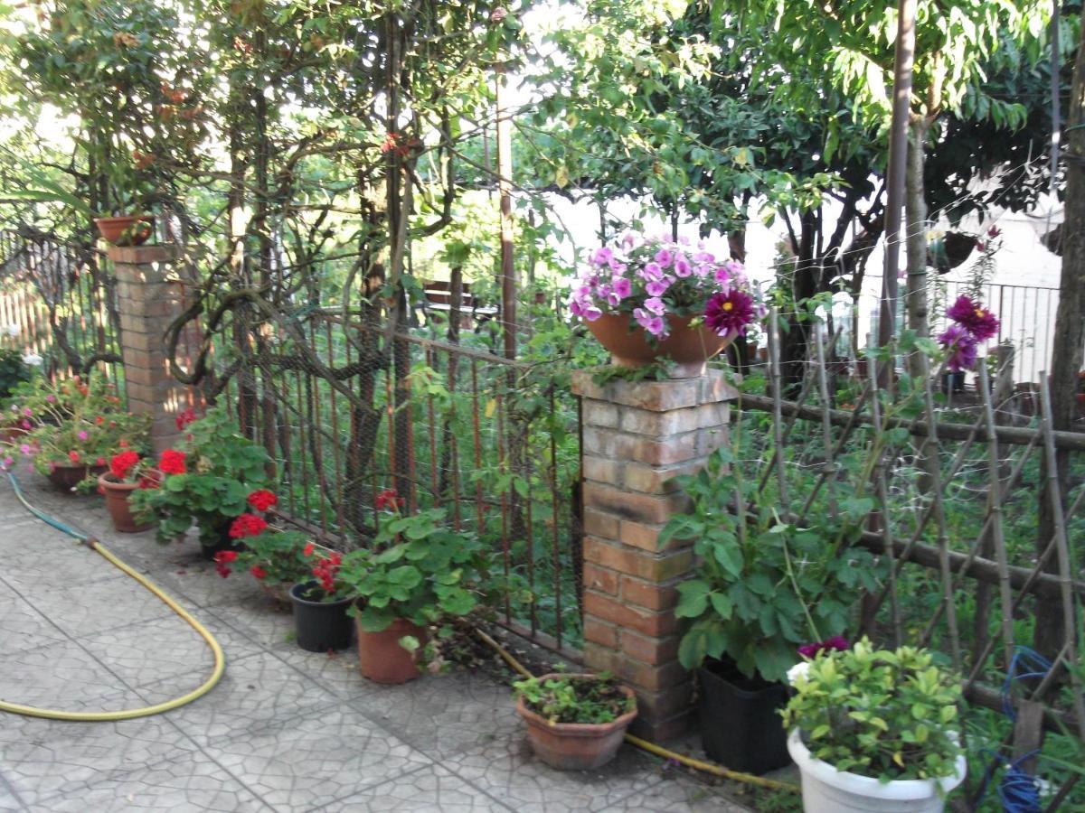 Le Mimose Villa Vietri Bagian luar foto