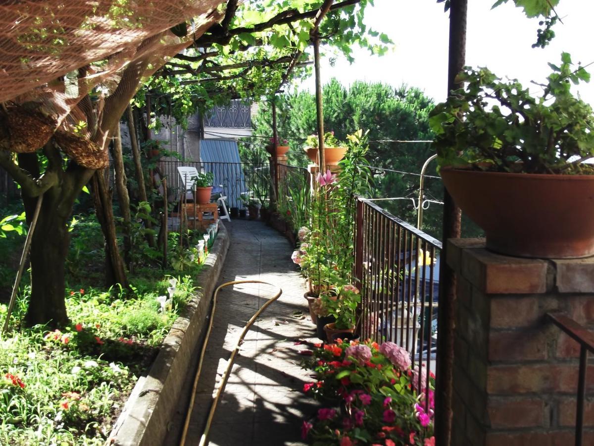 Le Mimose Villa Vietri Bagian luar foto