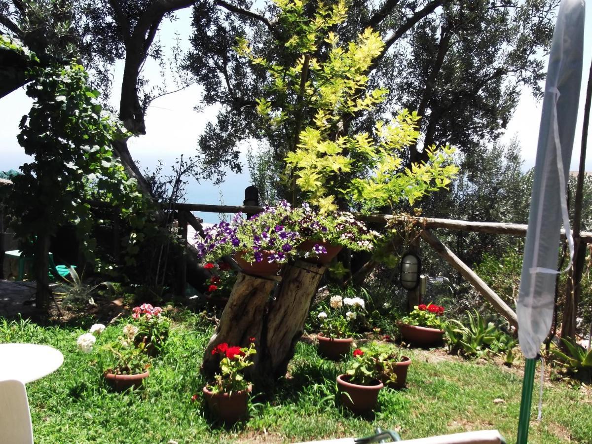 Le Mimose Villa Vietri Bagian luar foto