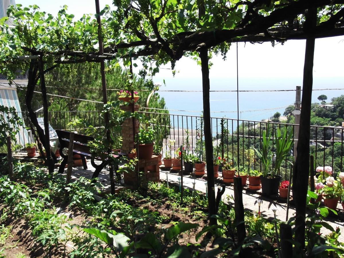 Le Mimose Villa Vietri Bagian luar foto