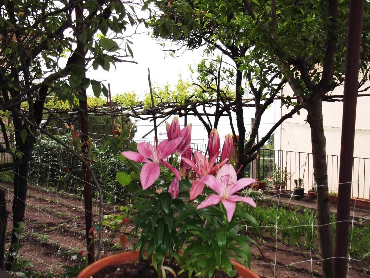 Le Mimose Villa Vietri Bagian luar foto