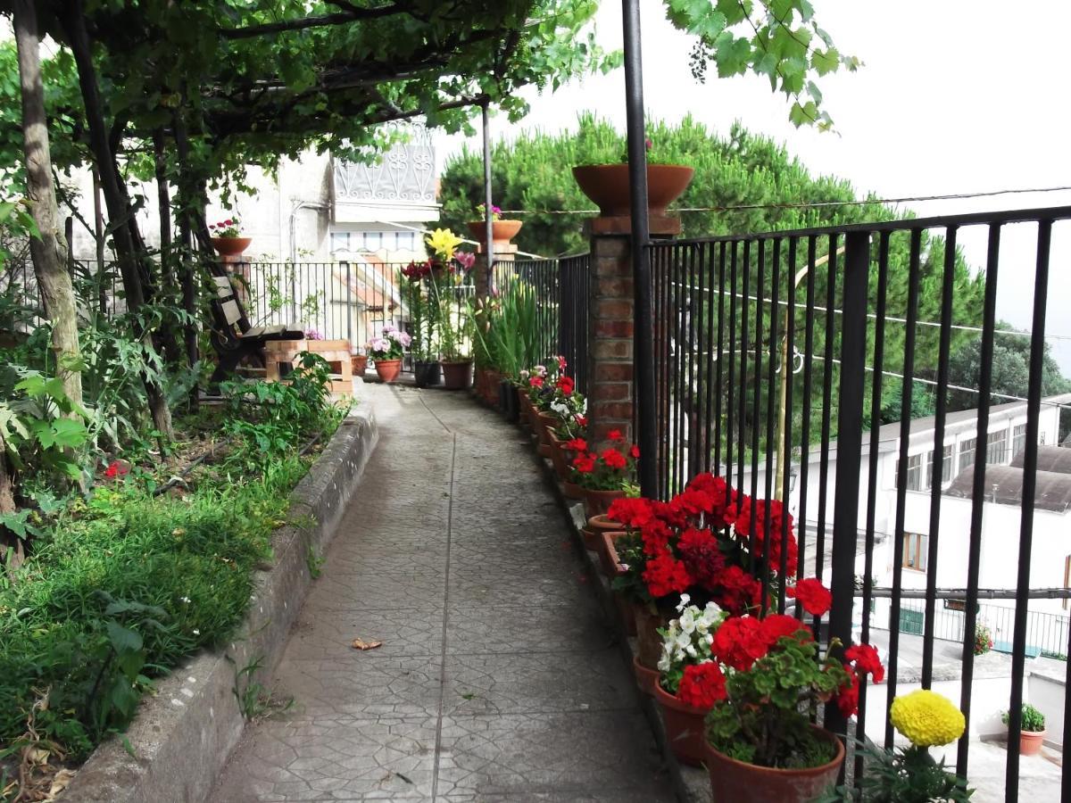 Le Mimose Villa Vietri Bagian luar foto