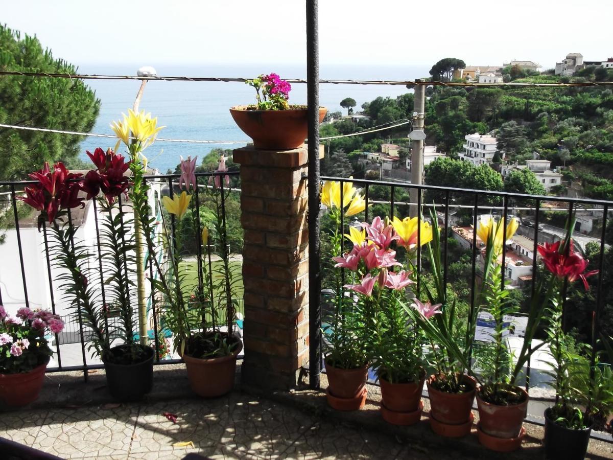 Le Mimose Villa Vietri Bagian luar foto