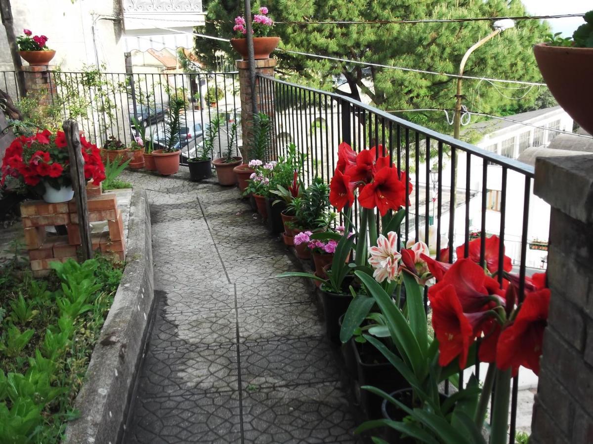 Le Mimose Villa Vietri Bagian luar foto