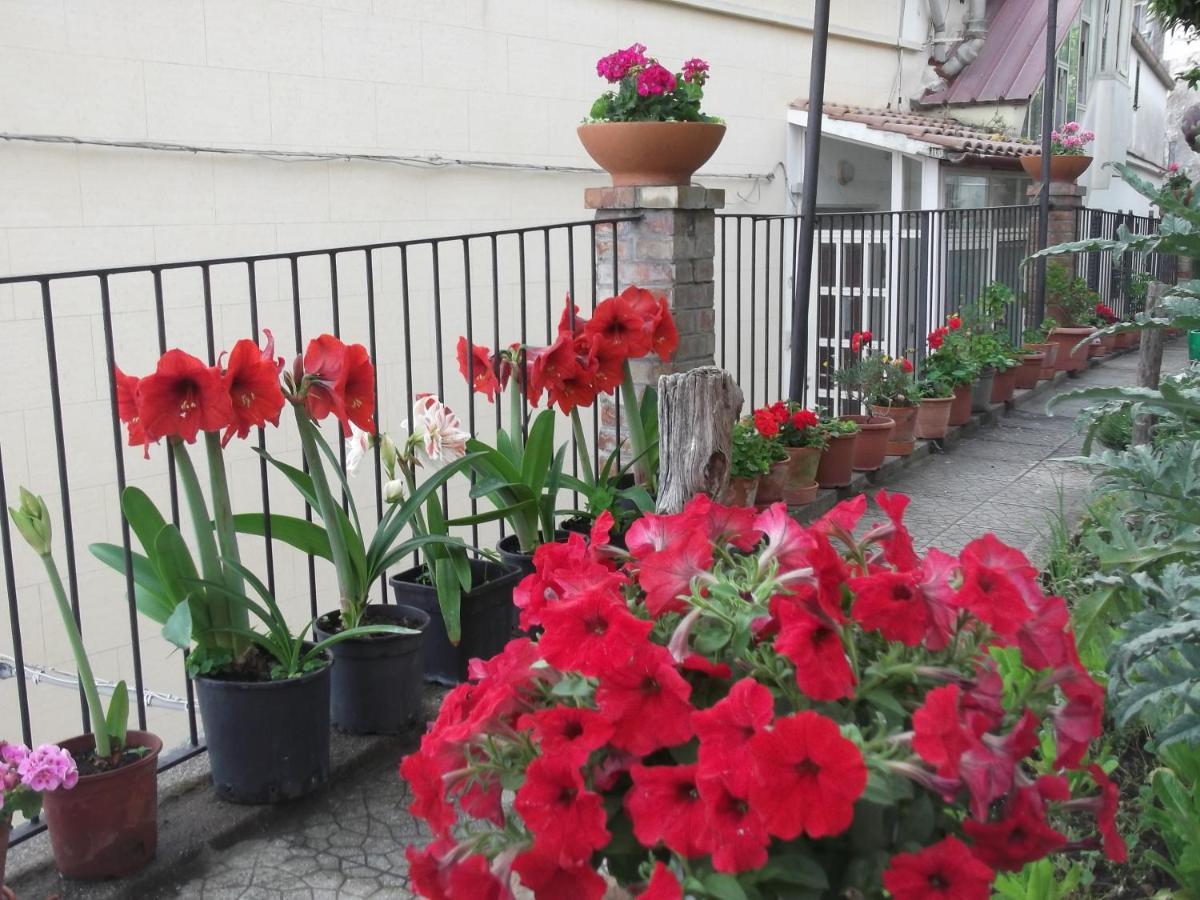 Le Mimose Villa Vietri Bagian luar foto