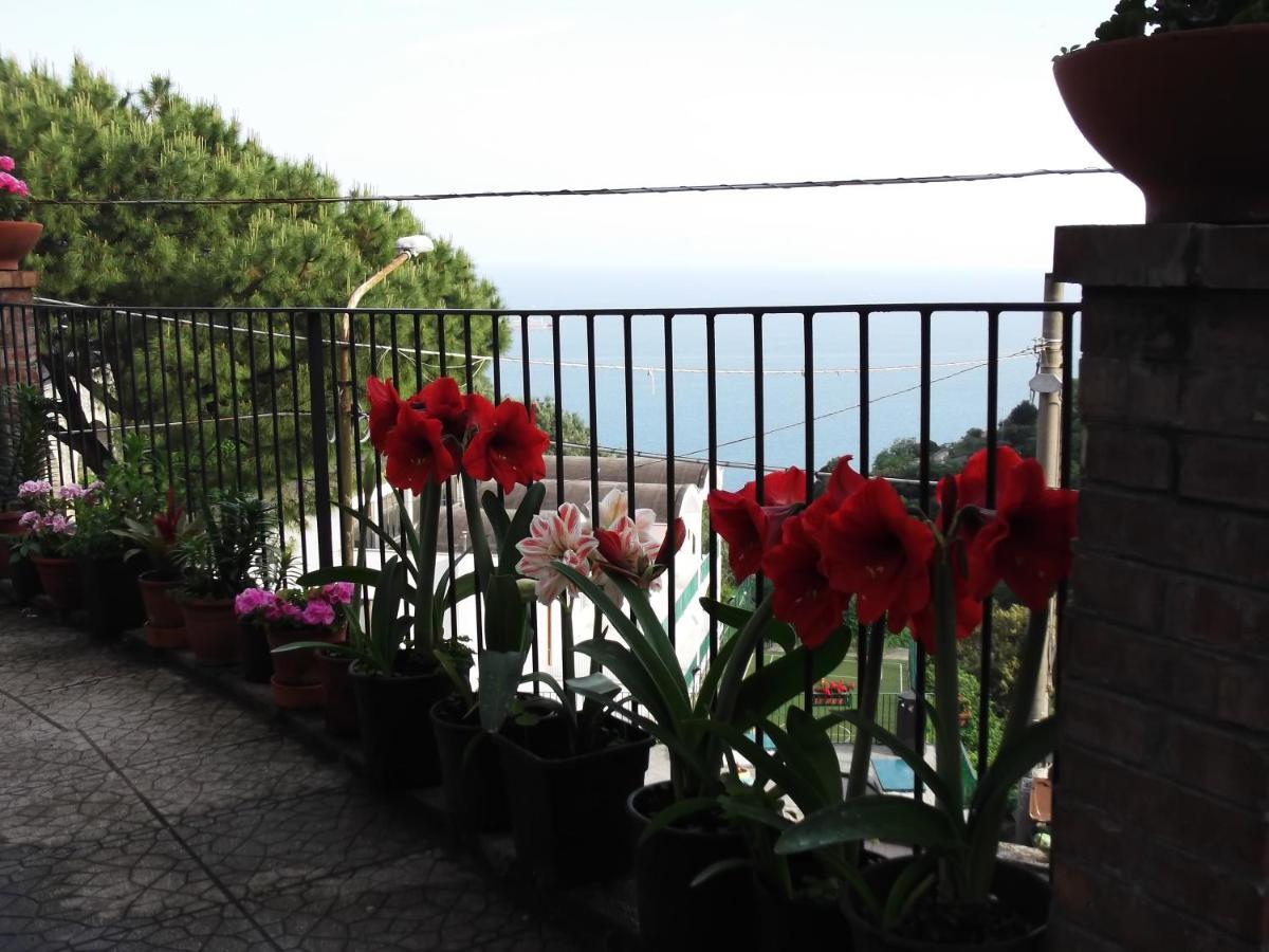 Le Mimose Villa Vietri Bagian luar foto