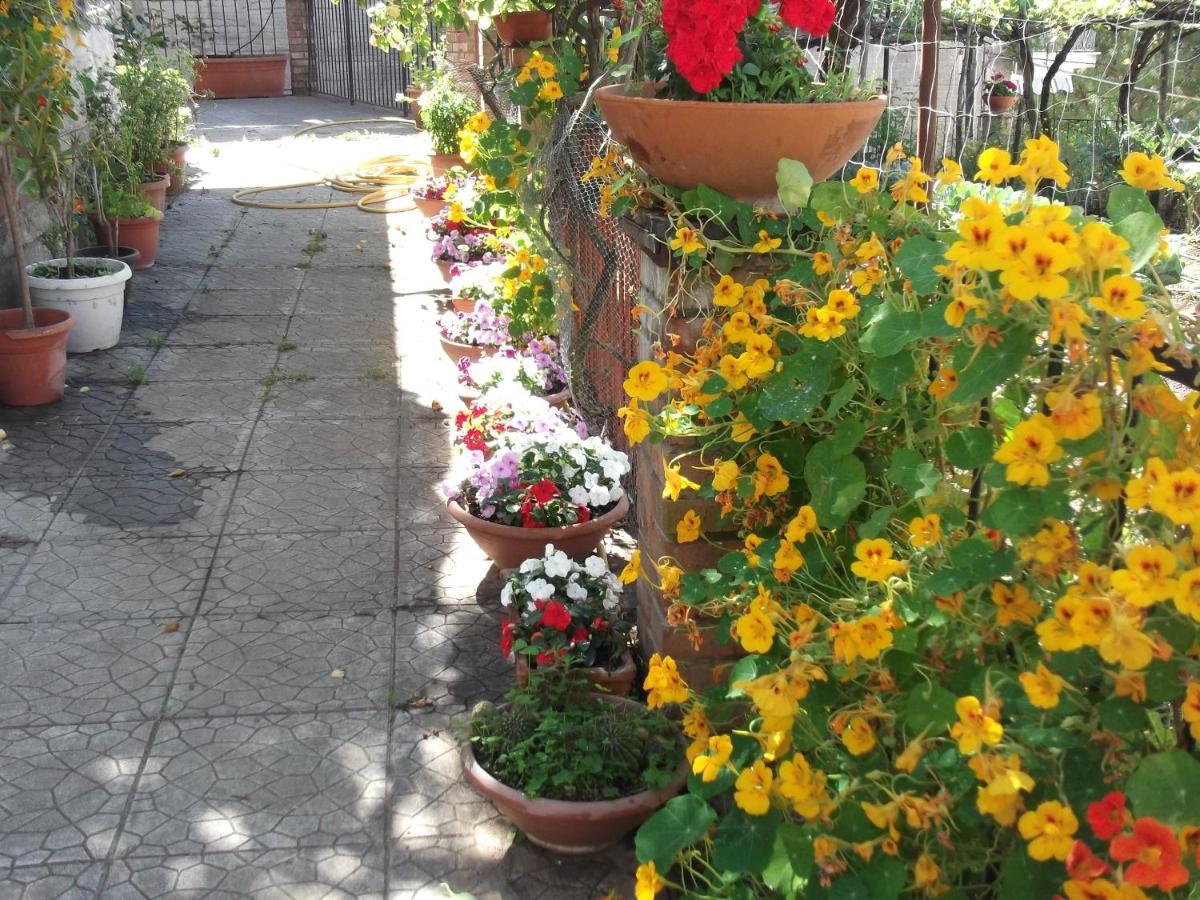Le Mimose Villa Vietri Bagian luar foto