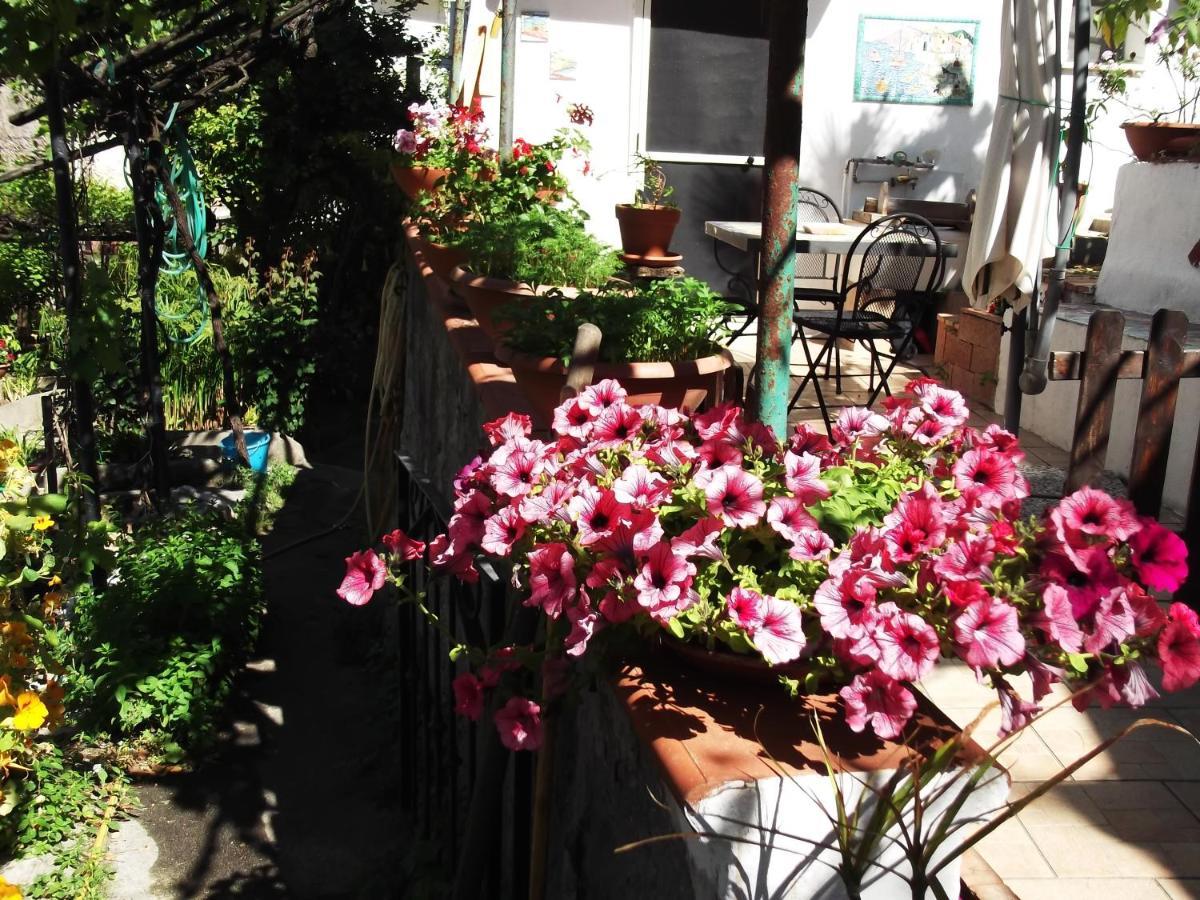 Le Mimose Villa Vietri Bagian luar foto