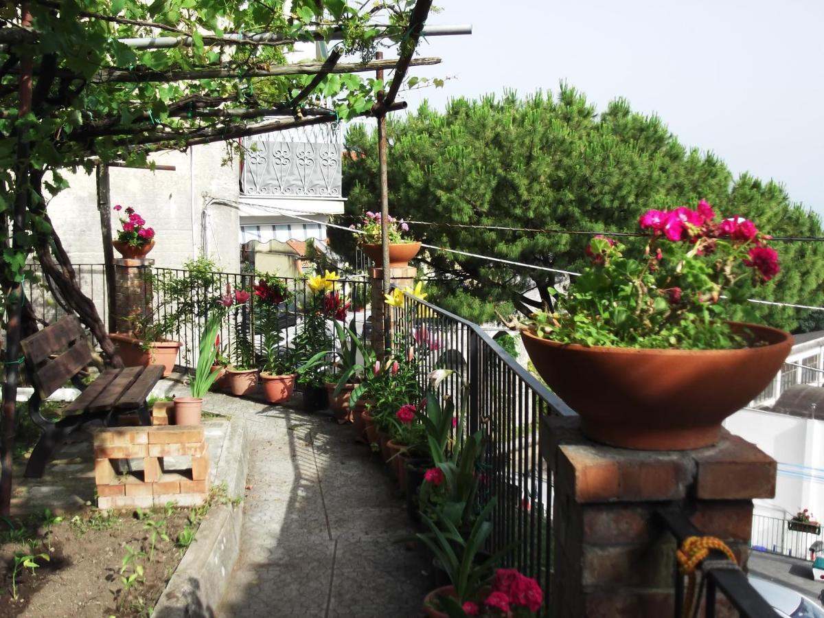 Le Mimose Villa Vietri Bagian luar foto