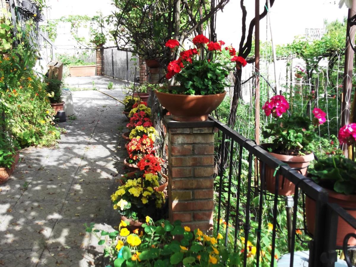 Le Mimose Villa Vietri Bagian luar foto