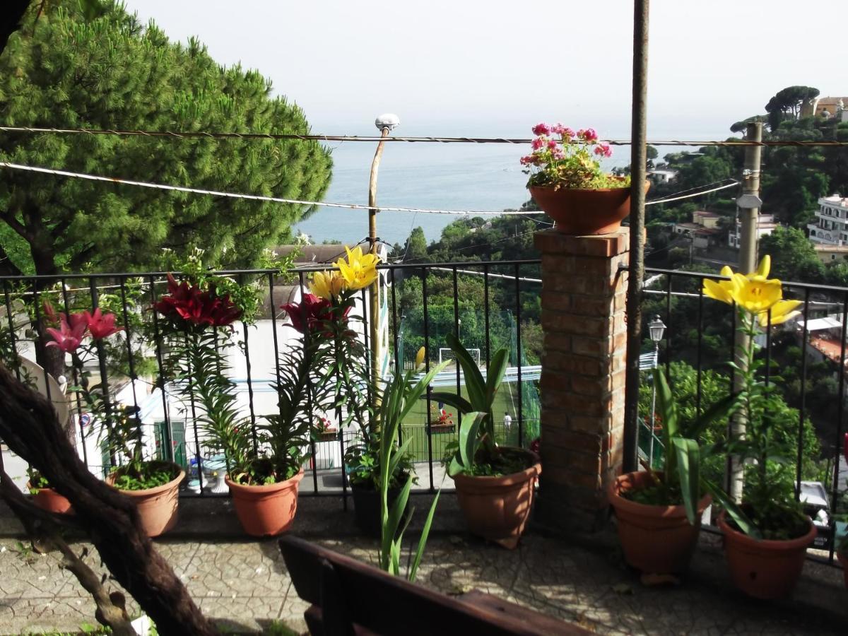 Le Mimose Villa Vietri Bagian luar foto