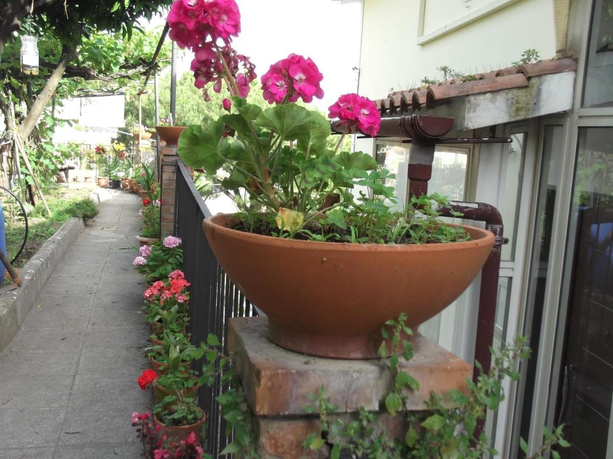 Le Mimose Villa Vietri Bagian luar foto