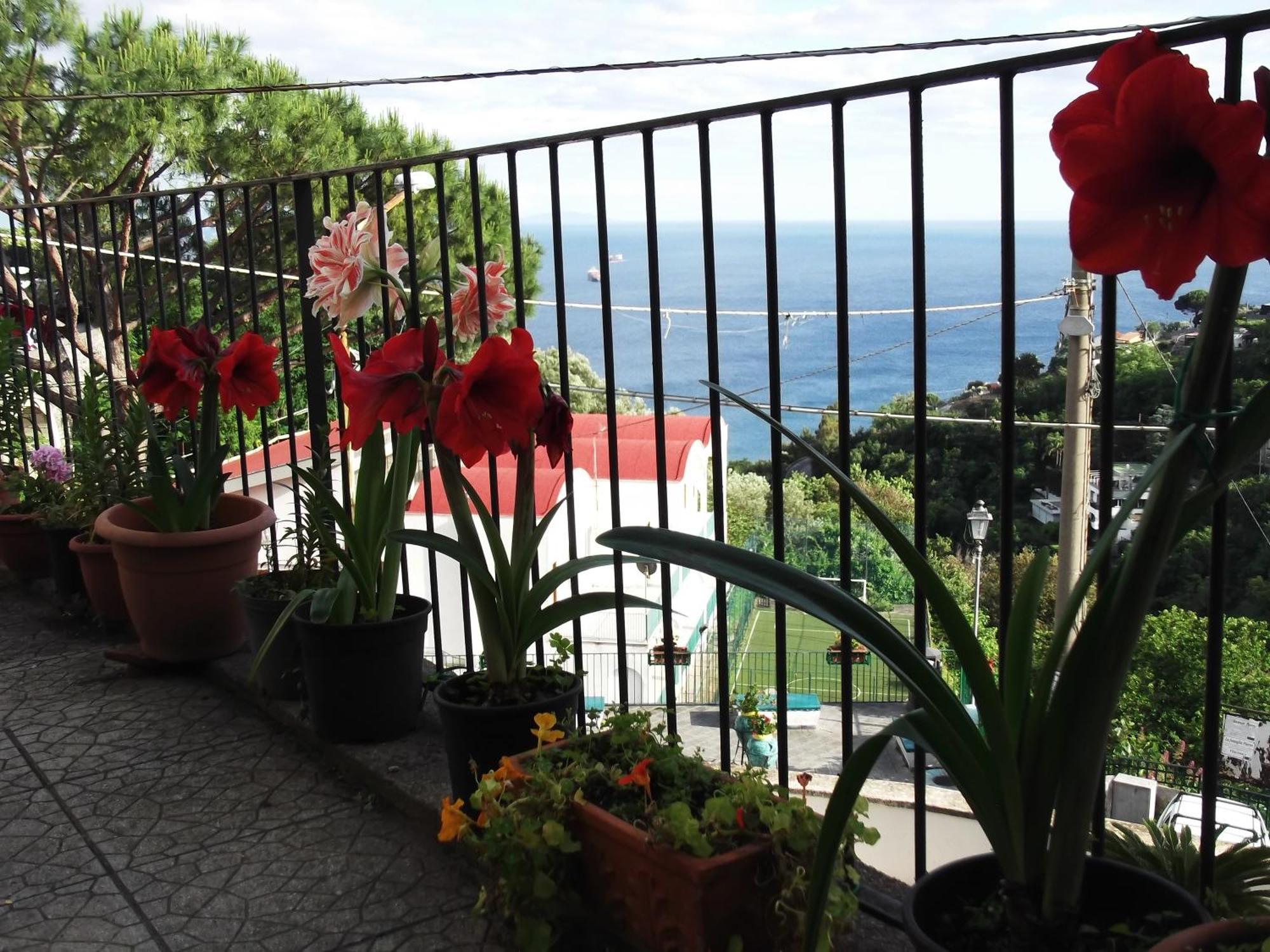 Le Mimose Villa Vietri Bagian luar foto