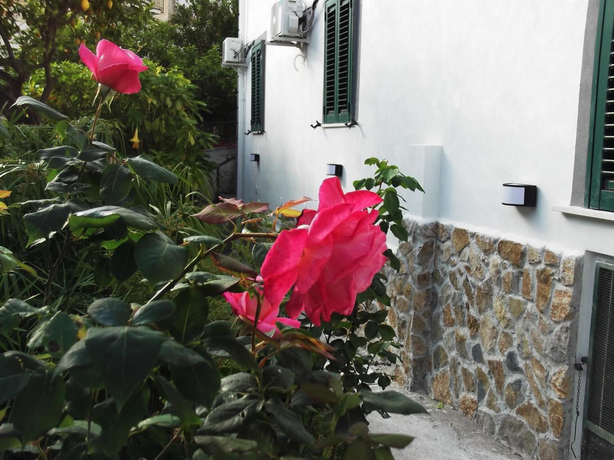 Le Mimose Villa Vietri Bagian luar foto
