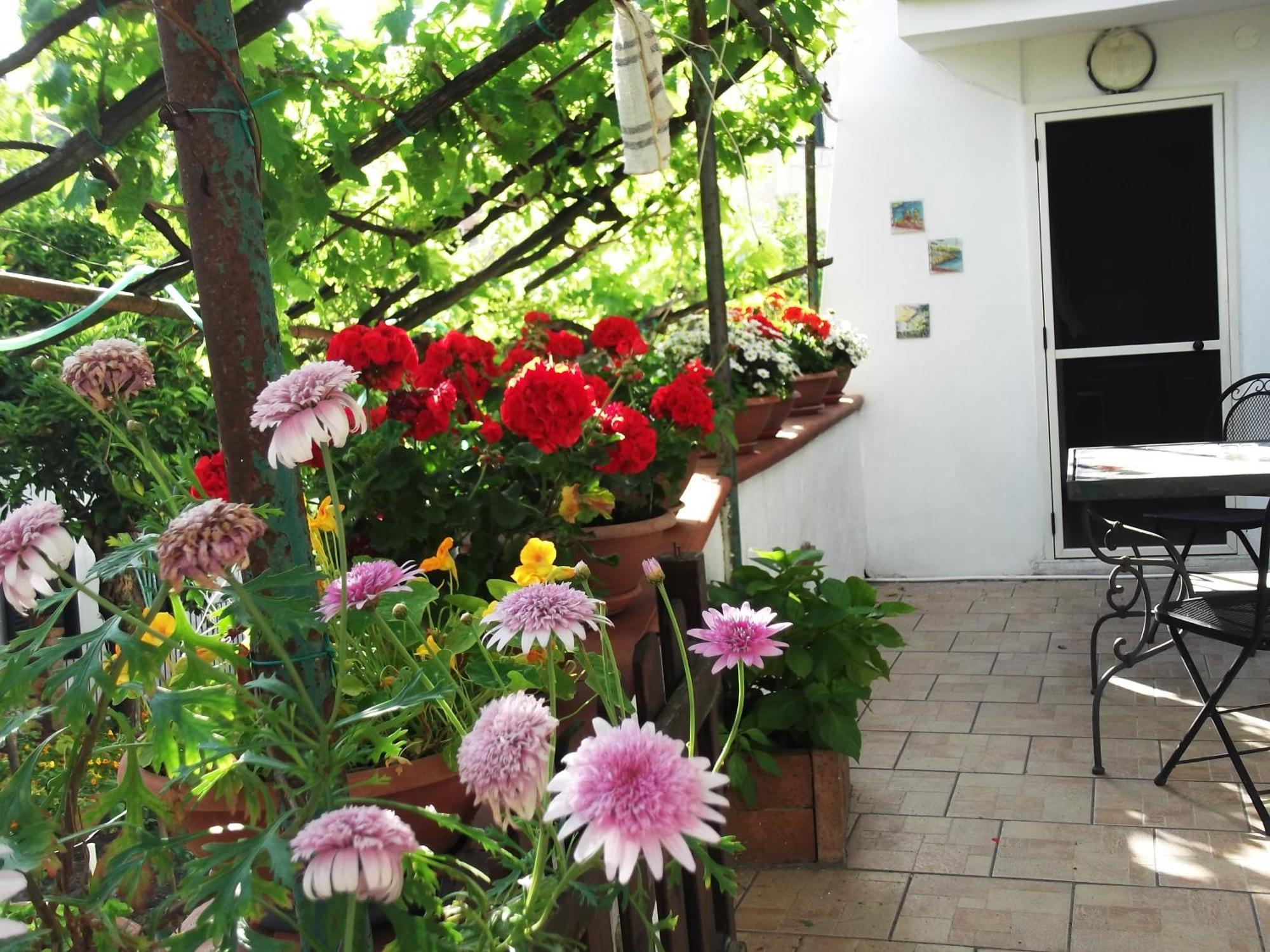 Le Mimose Villa Vietri Bagian luar foto