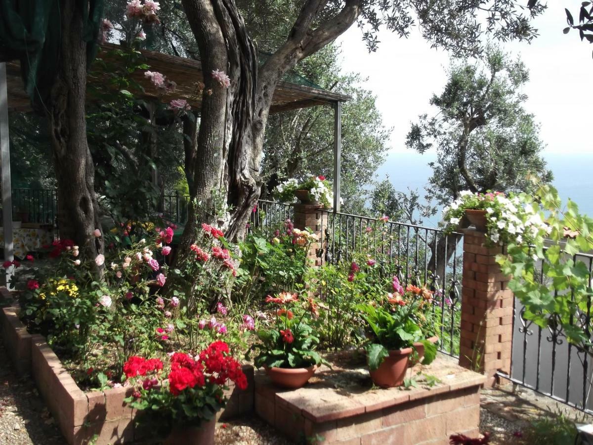 Le Mimose Villa Vietri Bagian luar foto