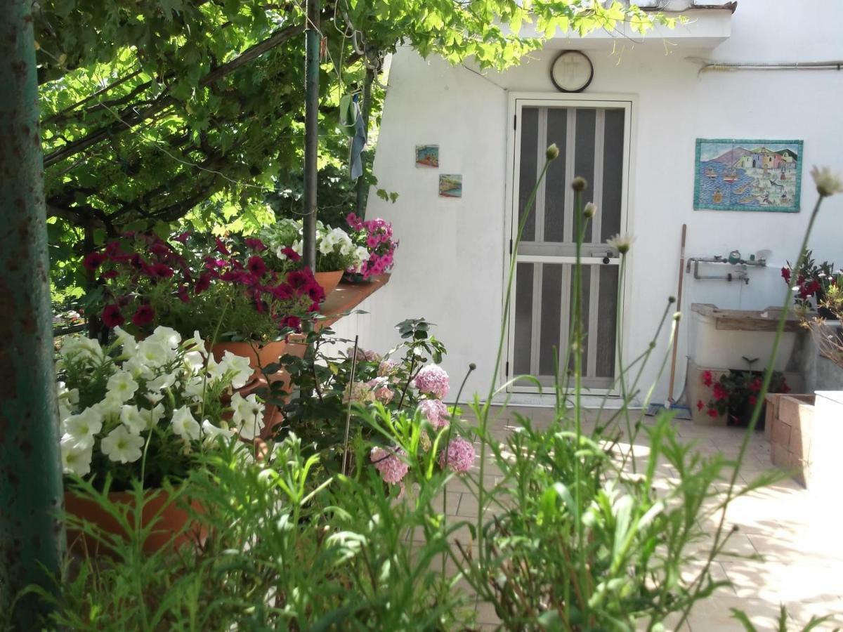 Le Mimose Villa Vietri Bagian luar foto