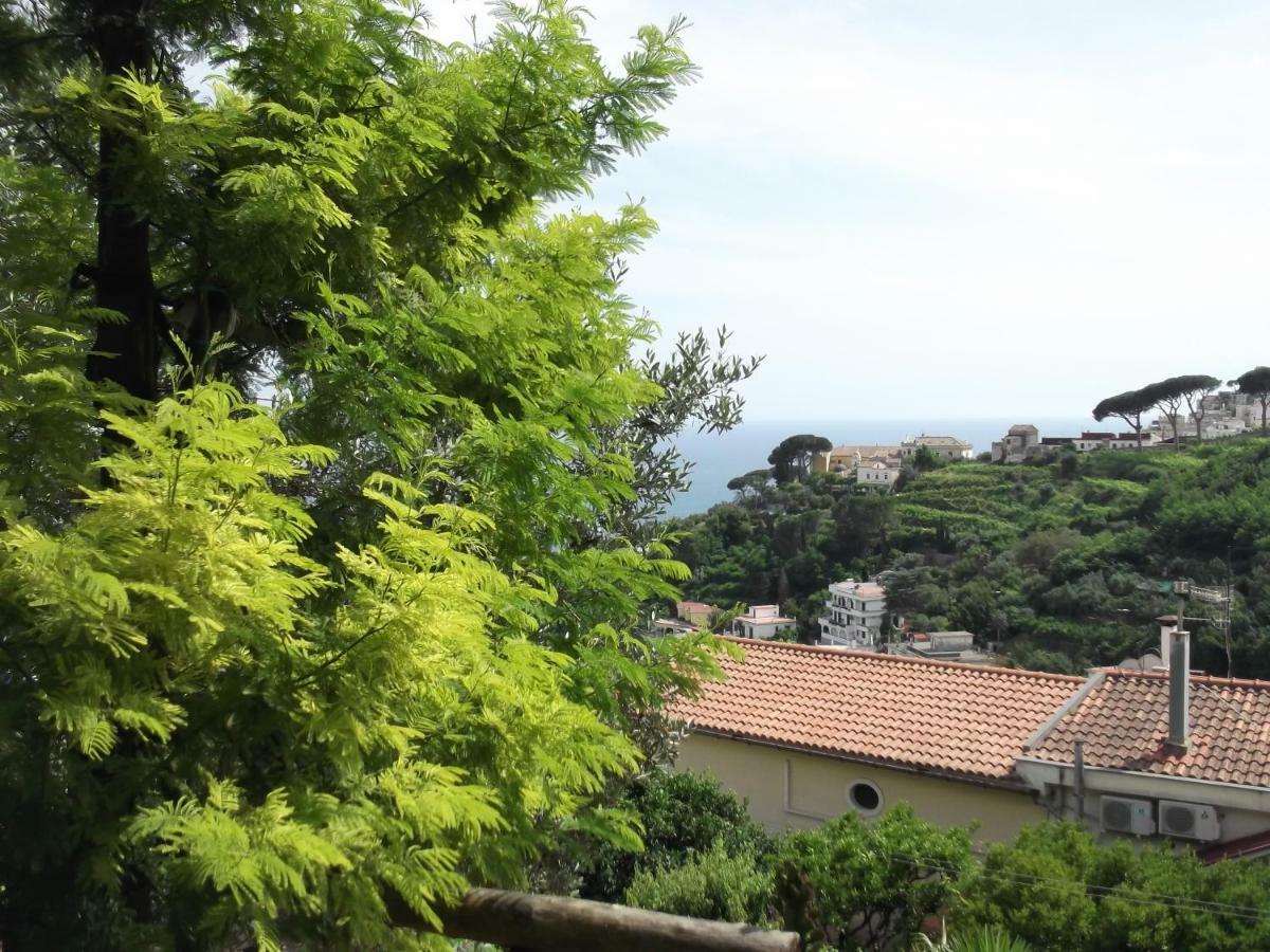 Le Mimose Villa Vietri Bagian luar foto