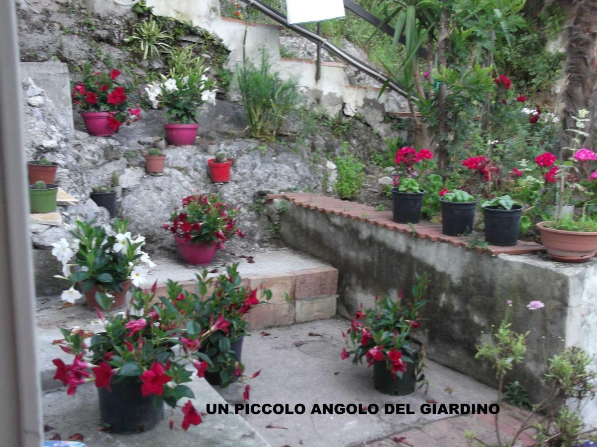 Le Mimose Villa Vietri Bagian luar foto