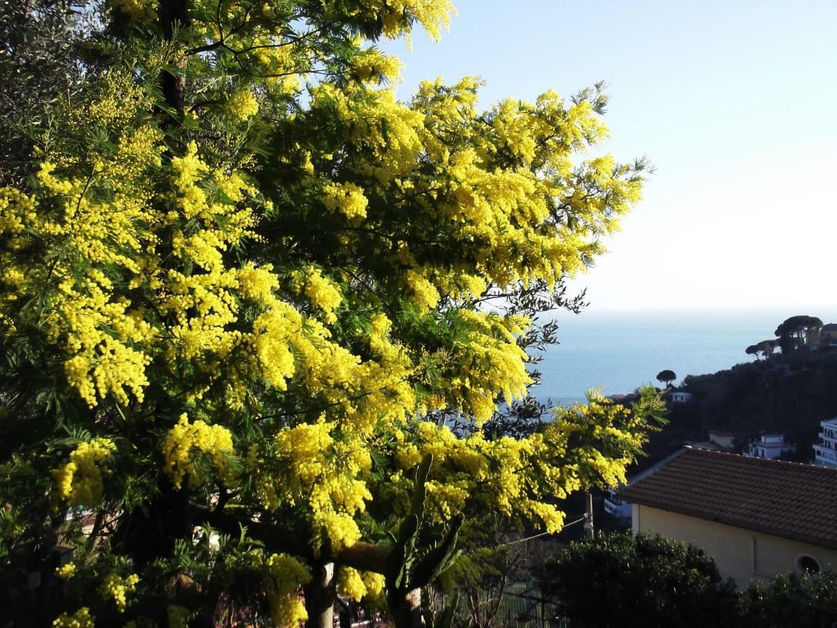 Le Mimose Villa Vietri Bagian luar foto