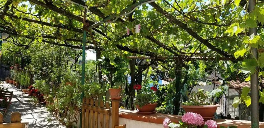 Le Mimose Villa Vietri Bagian luar foto